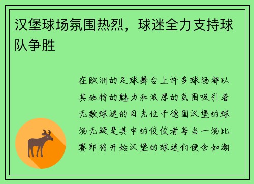 汉堡球场氛围热烈，球迷全力支持球队争胜